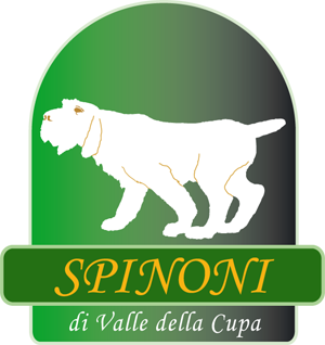 spinone di valle della cupa
